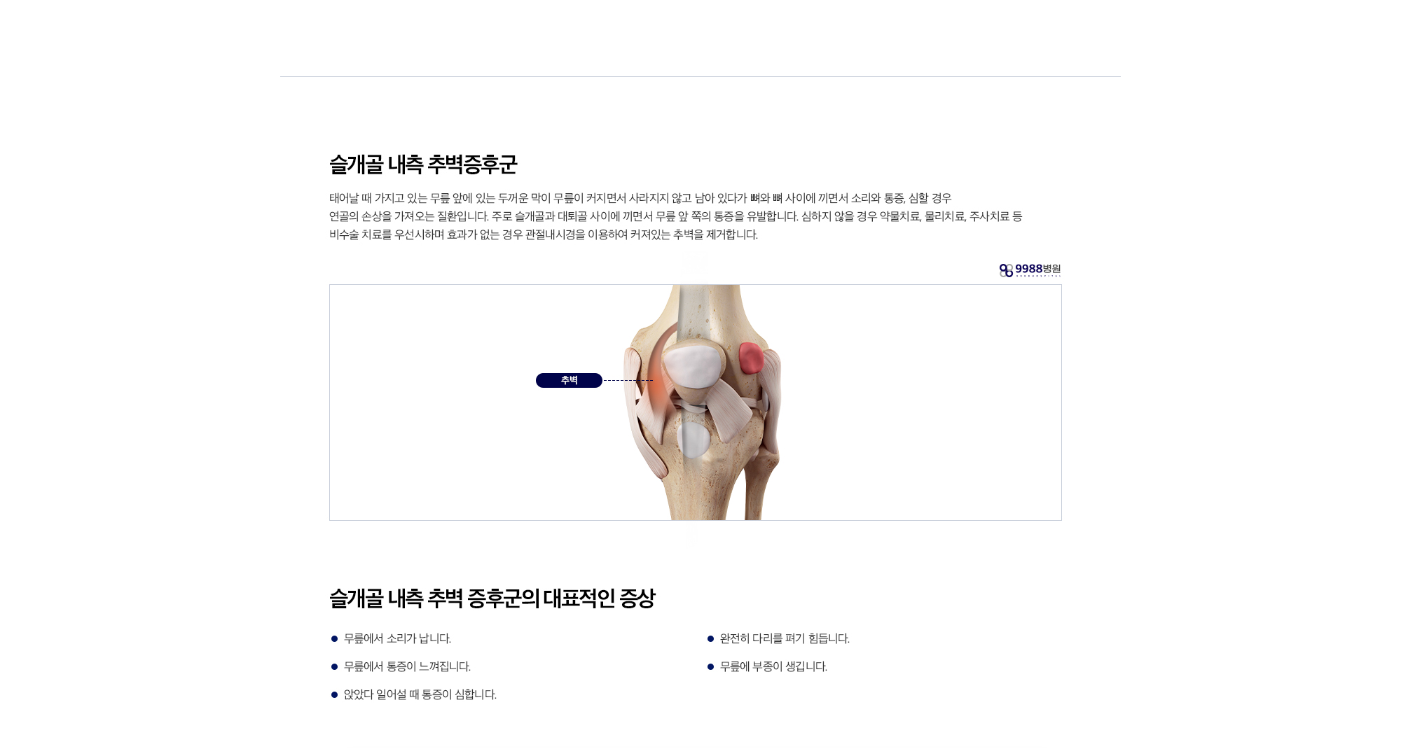 슬개골 내측 추벽증후군
